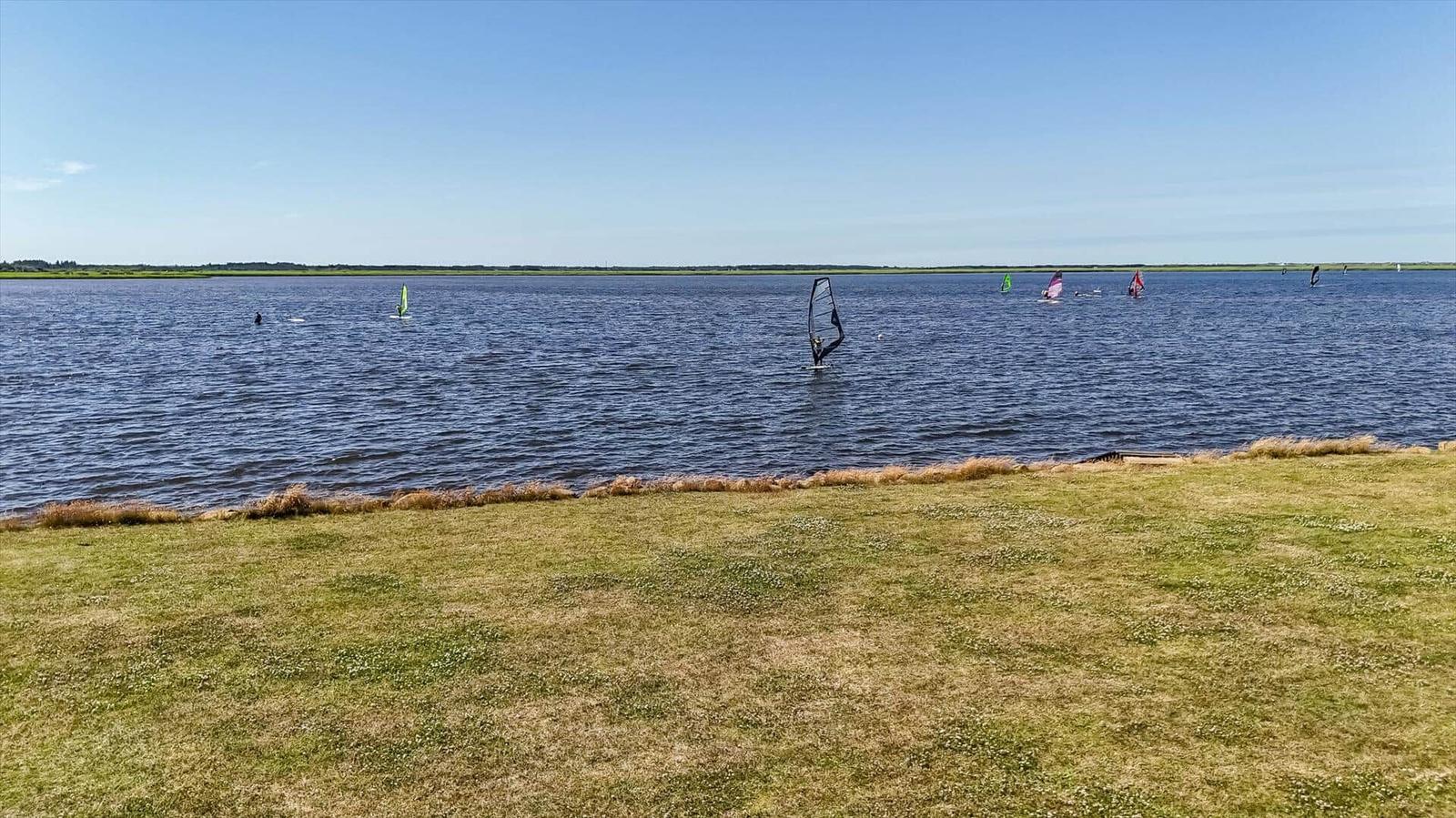 Windsurfers enjoy the water on a sunny day by the shore.