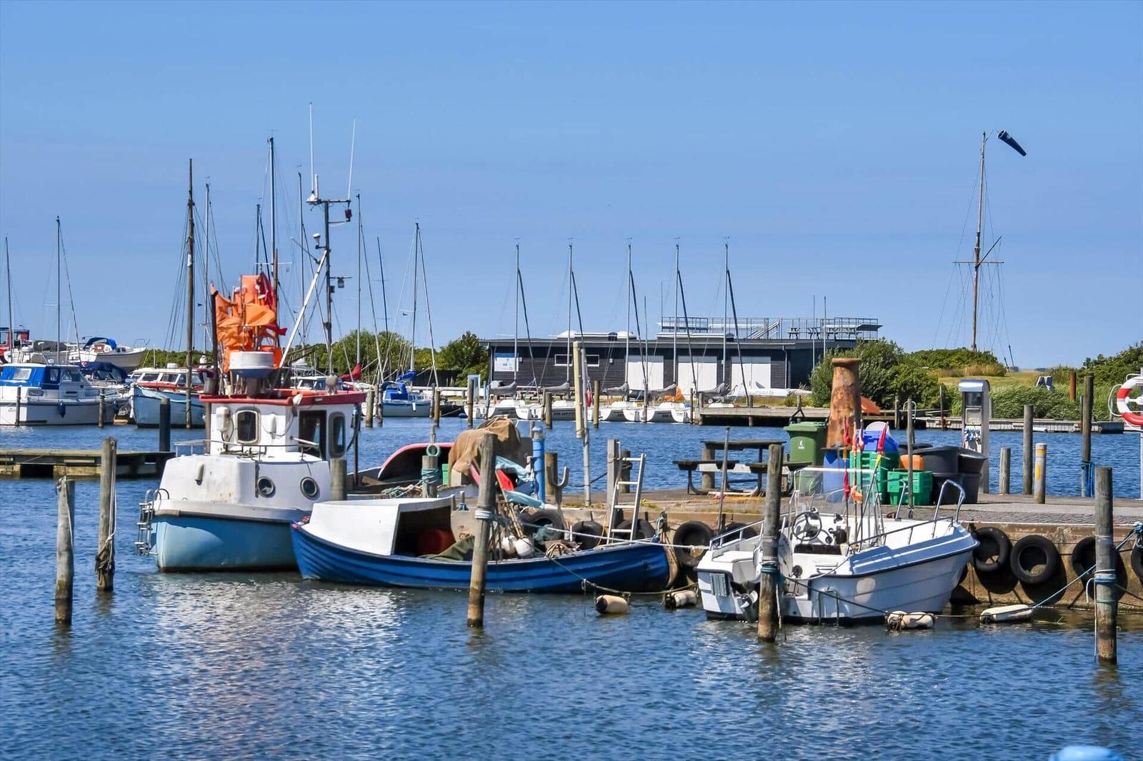 Harbor with various boats and masts on a sunny day.