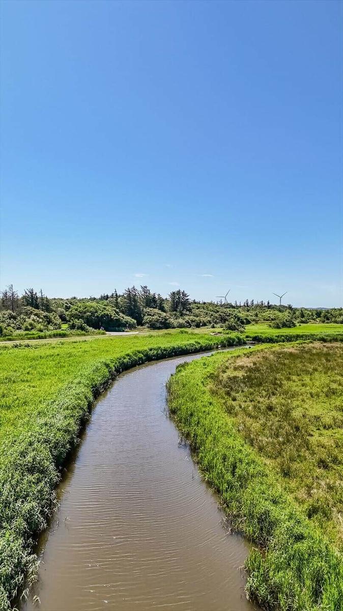 A river flows through green grassland under a blue sky with wind turbines in the distance.