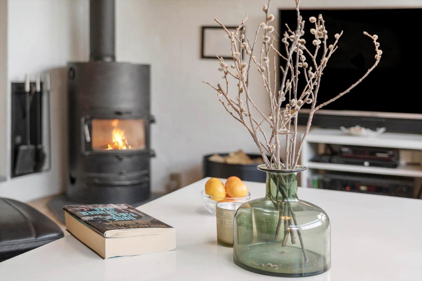 A wood-burning stove, a vase with branches, and a book on a table.
