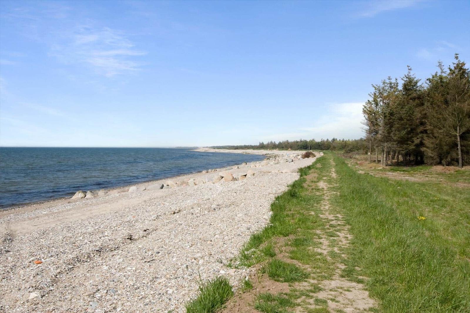 Rocky beach with grass path and forest in the background.