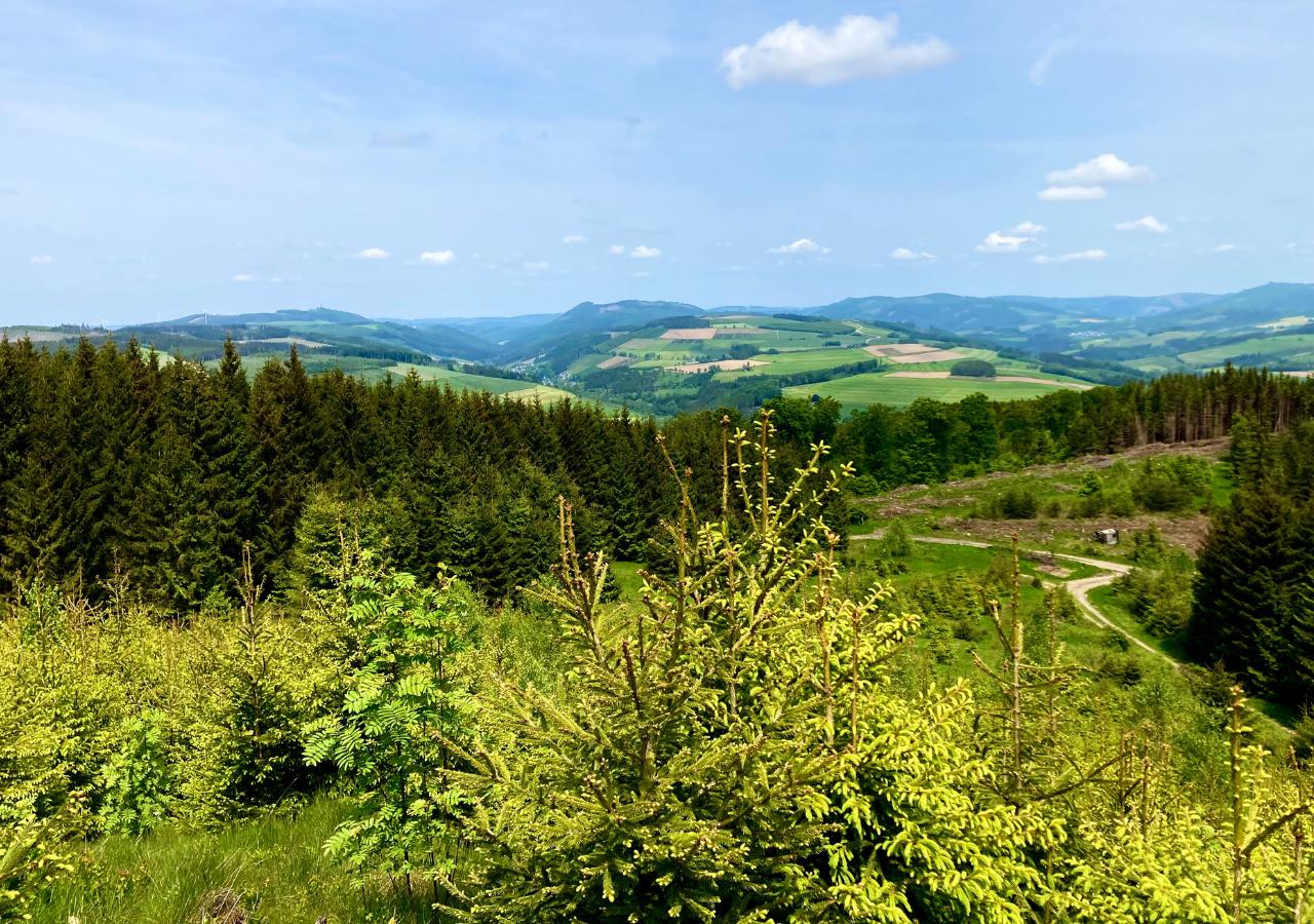 Wanderung in der Umgebung, Blick auf die Weiten des Sauerlands