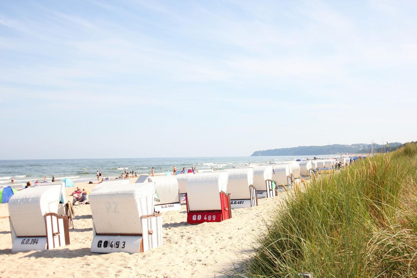 Strand mit weißen Strandkörben und grüner Dünenvegetation am Horizont.