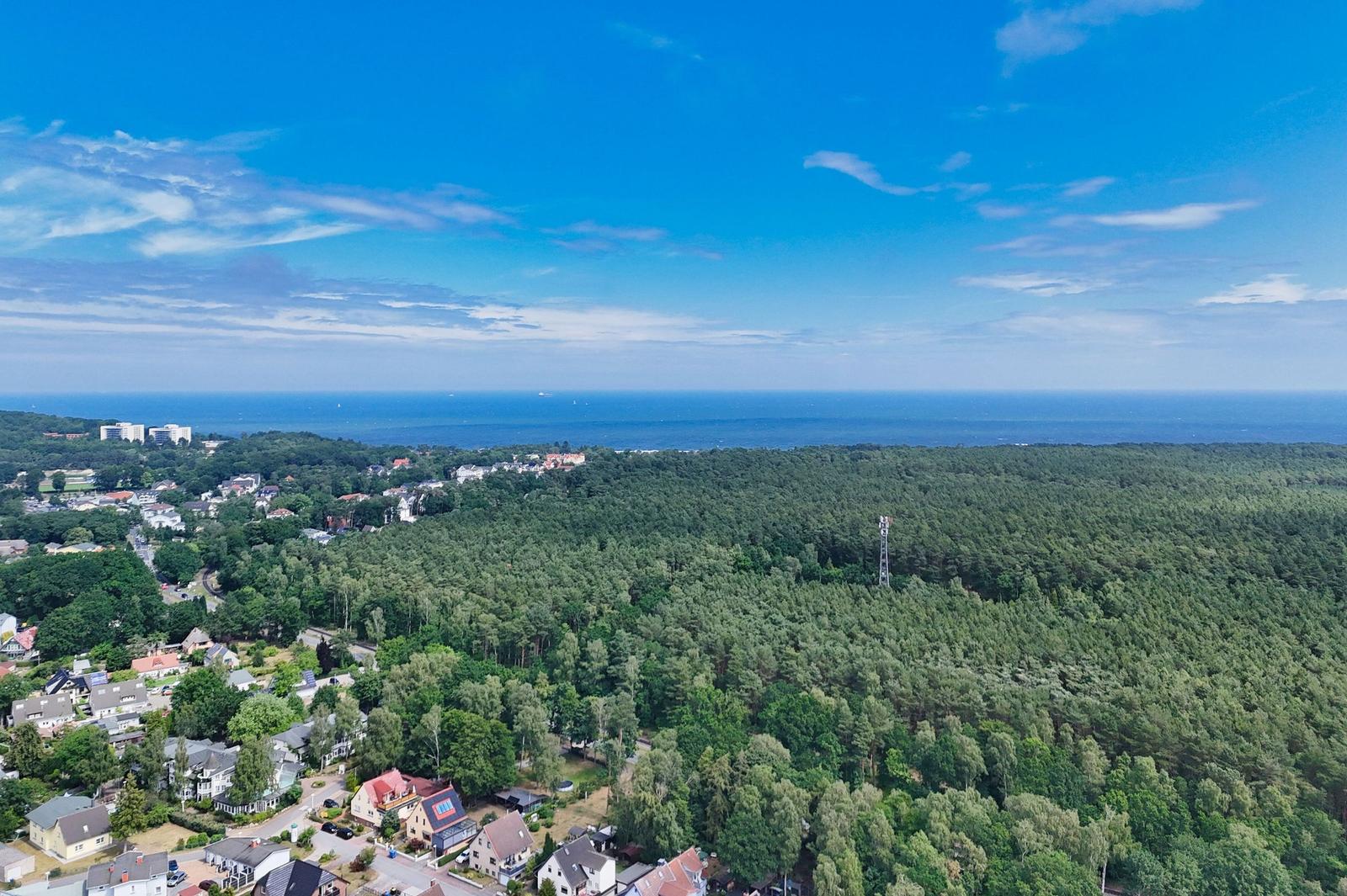 Aerial view of forest, houses, and sea under blue sky.