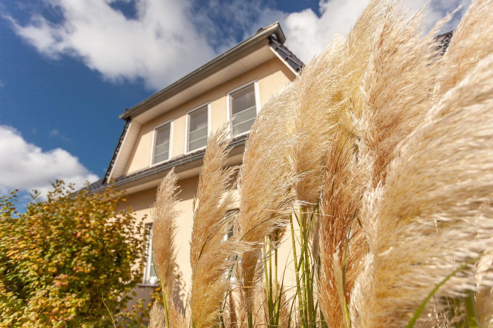 Haus mit Pampasgras im Vordergrund und blauem Himmel.