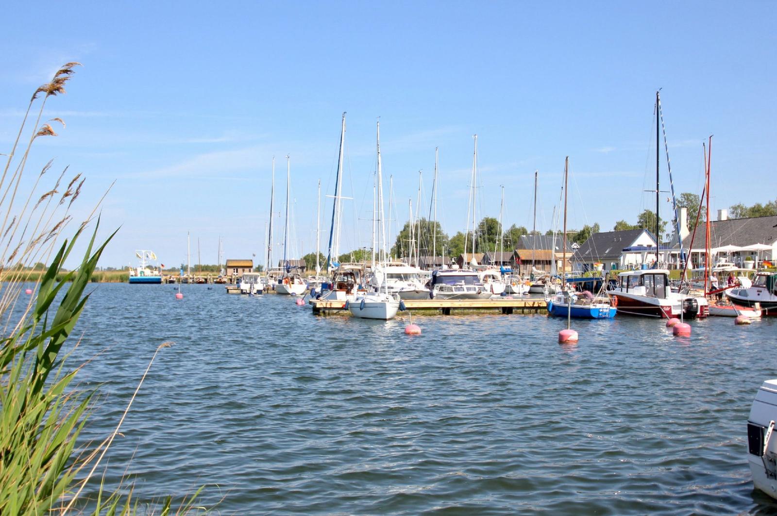 Hafen mit Segelbooten und Booten an Stegen. Gras im Vordergrund. Klare blaue Luft.