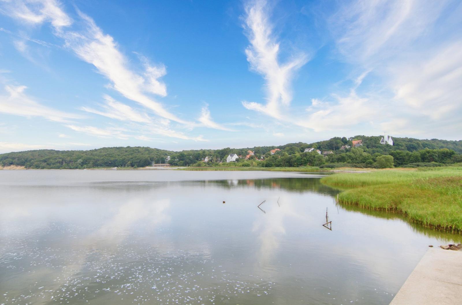 Seeufer mit Grasland, Bäumen und Häusern unter blauem Himmel mit weißen Wolken.