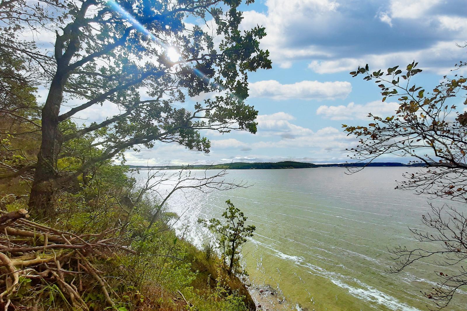 Blick auf einen See von einer bewaldeten Klippe mit Sonnenlicht durch Bäume.