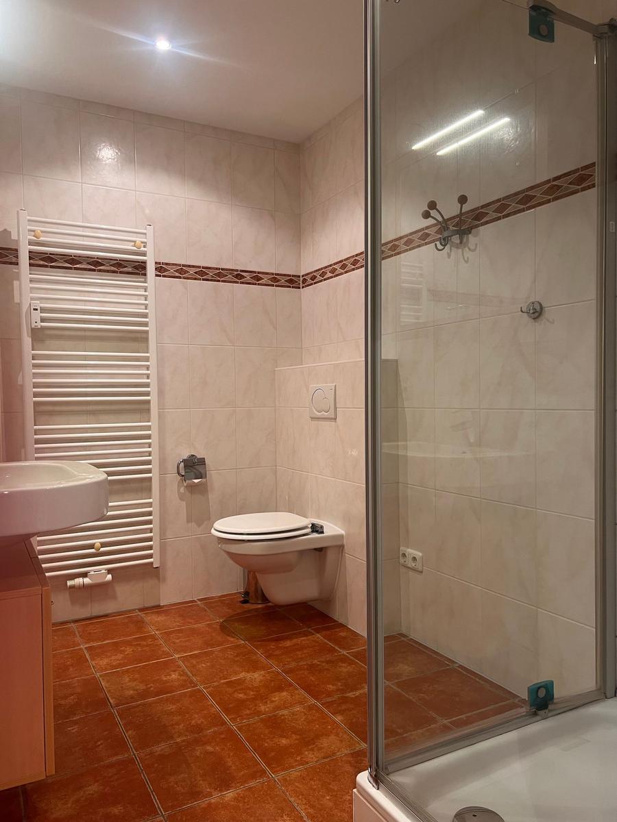 Badezimmer mit Dusche, WC und Waschbecken.