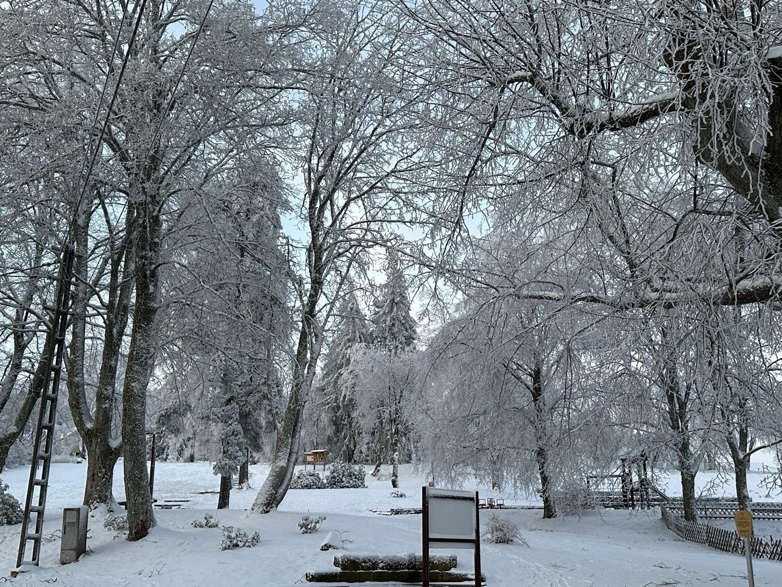 Gehlberg im Winter 2025