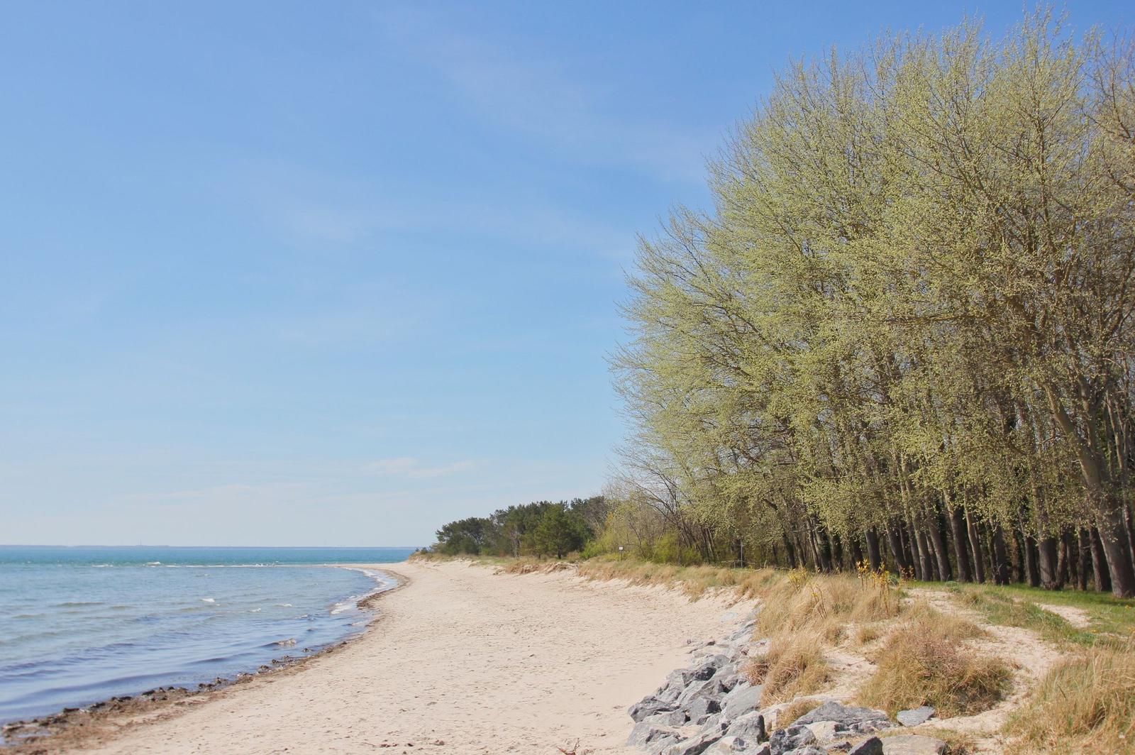 Strand mit Sand, Wasser und Bäumen unter blauem Himmel.