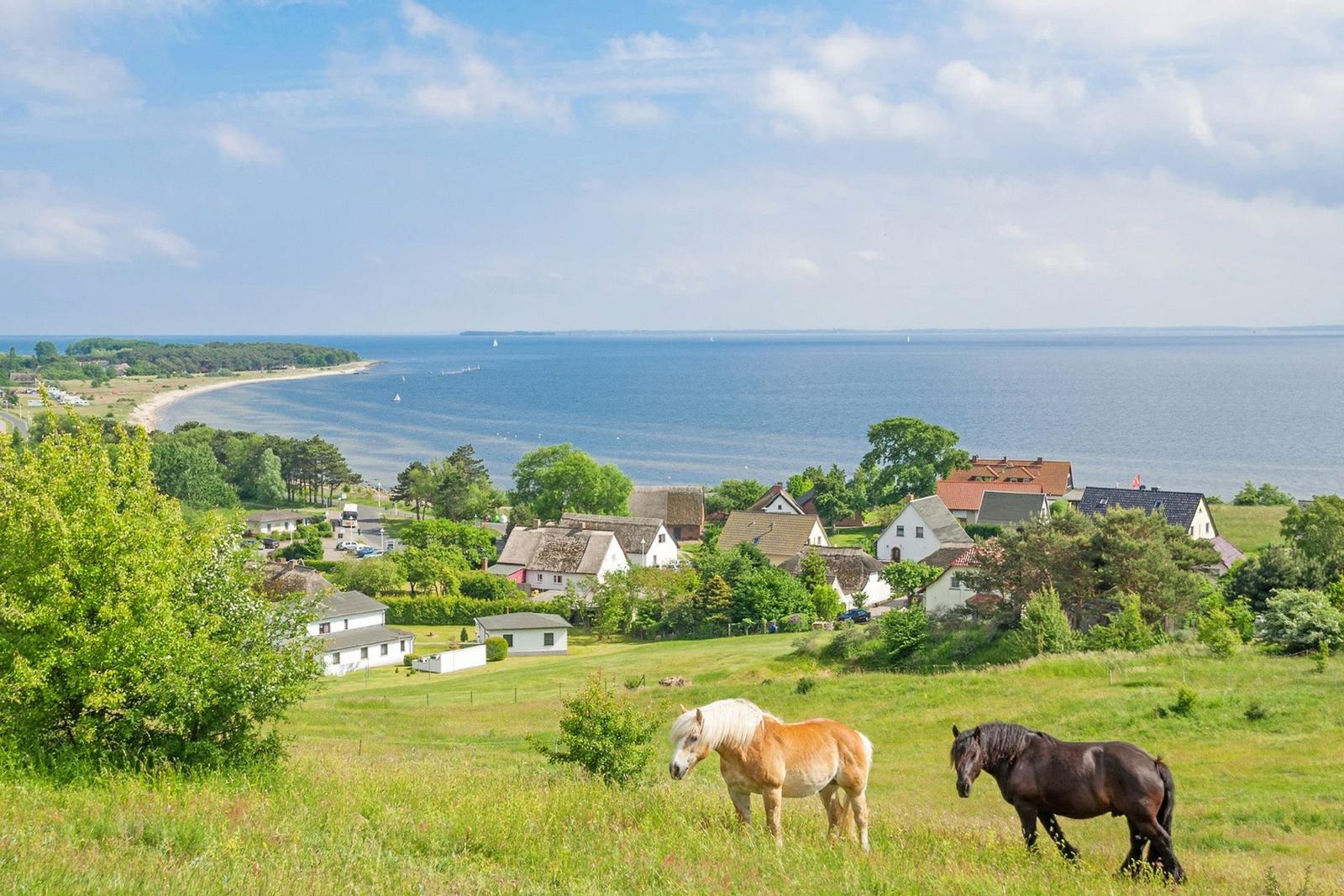 Zwei Pferde grasen auf einer Wiese mit Blick auf das Meer und Häuser.