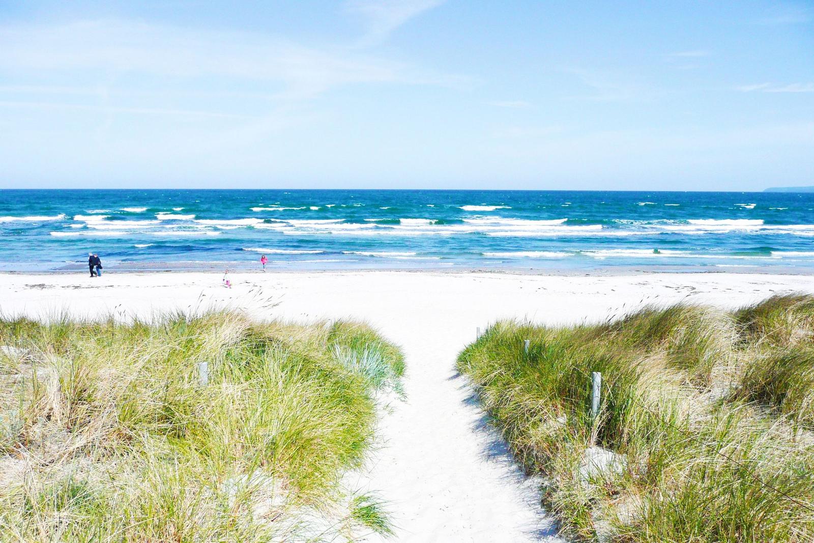 Wanderweg durch Dünen zur weißen Strandpromenade und zum Meer.