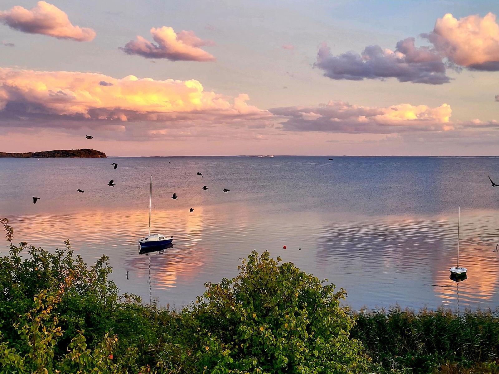 Sonnenuntergang über See mit Segelbooten und fliegenden Vögeln