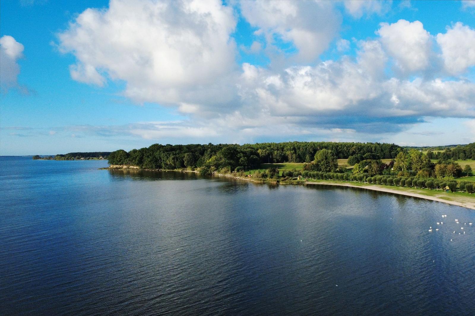 Ein See mit Strand und Wald unter blauem Himmel mit weißen Wolken.