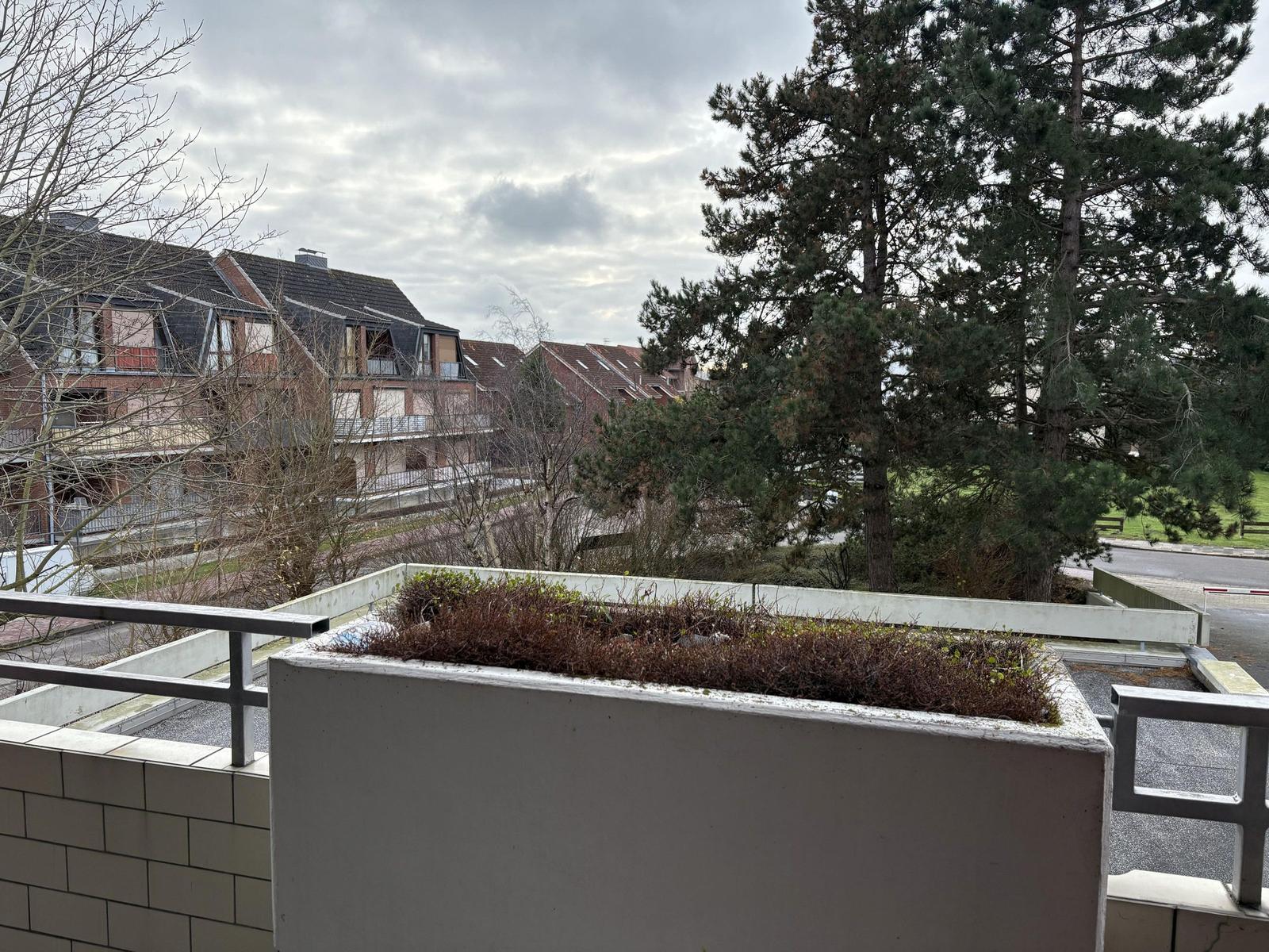 Blick von Balkon auf Wohnhäuser und Bäume unter bewölktem Himmel