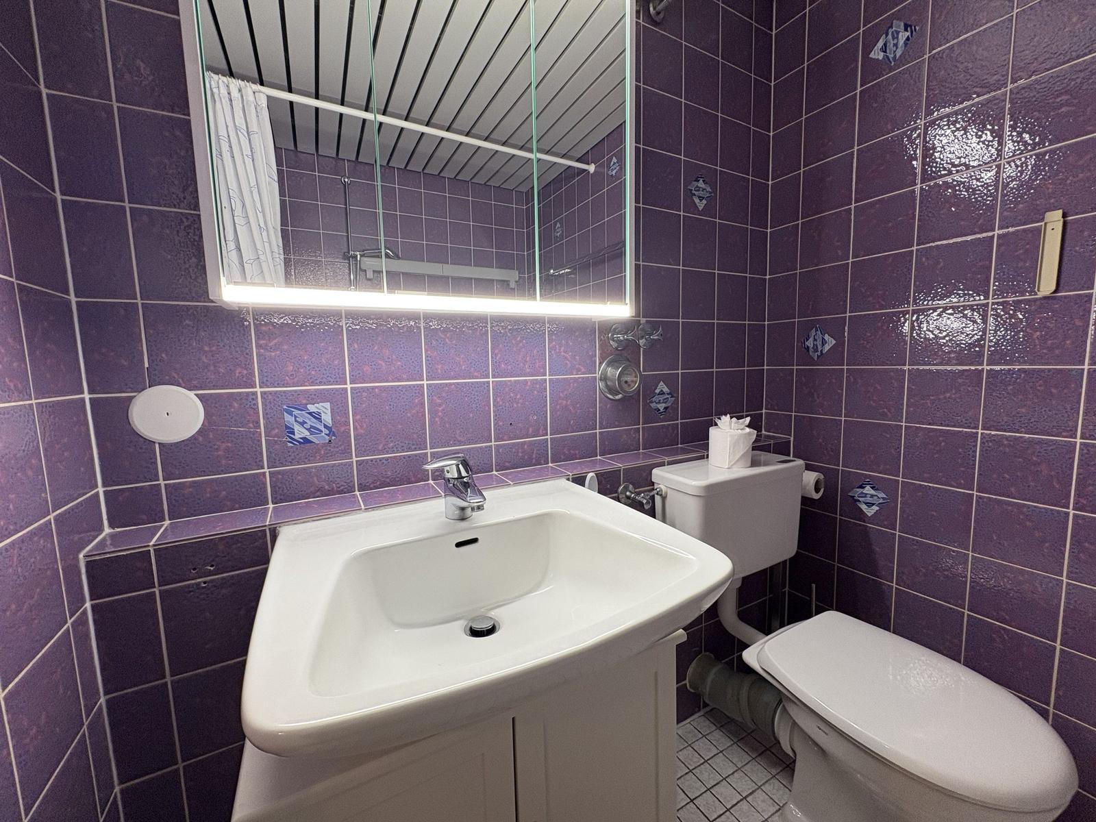 Badezimmer mit lila Fliesen, Waschbecken, Toilette und Spiegel.