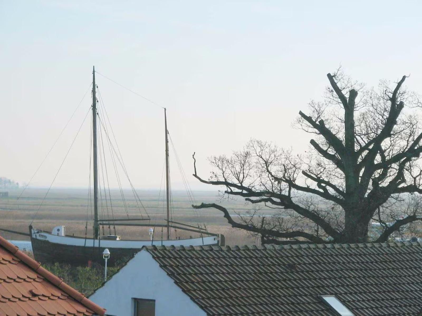 Blick über die Boddenlandschaft