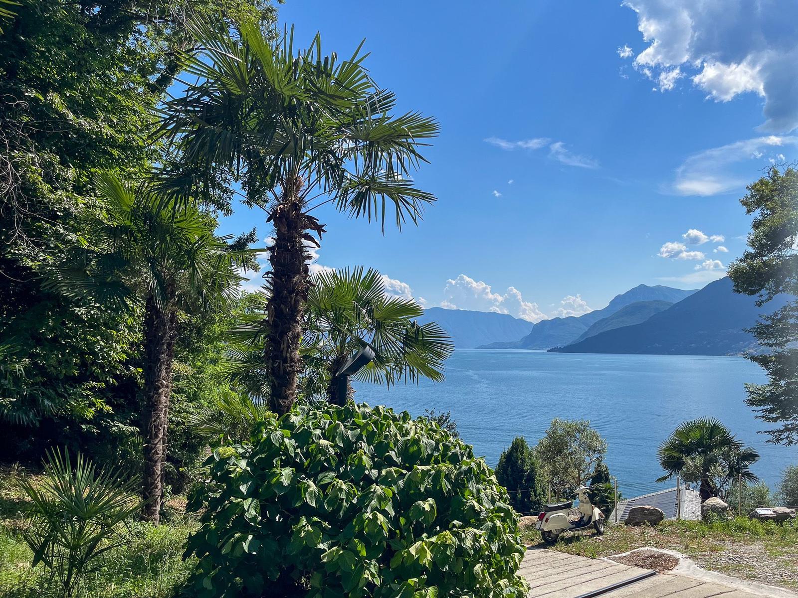 Landscape with lake, mountains, and palms. A white scooter is on a path.