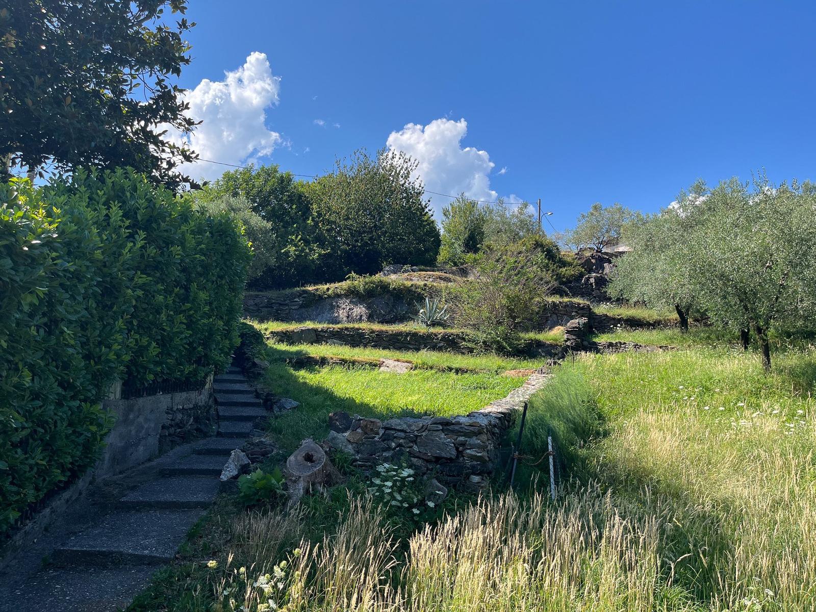 Path ascends through green meadows and stone walls under blue sky.