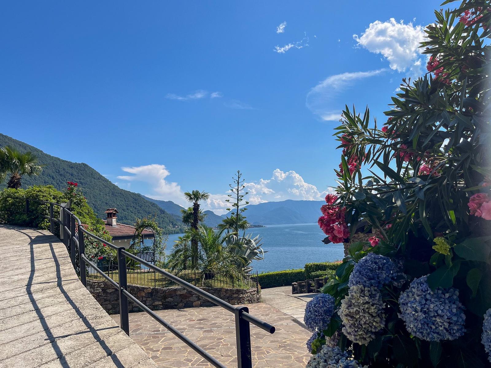 Path with railing leads to view of lake and mountains with flowers