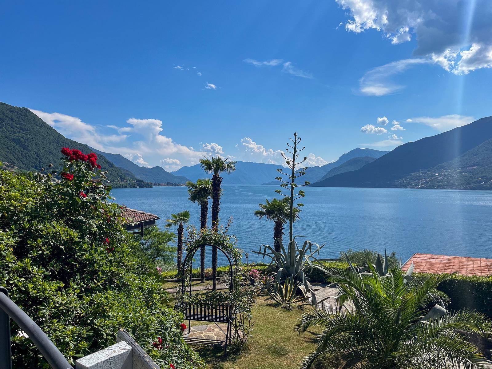 Garten mit Palmen und Blick auf einen See zwischen Bergen.