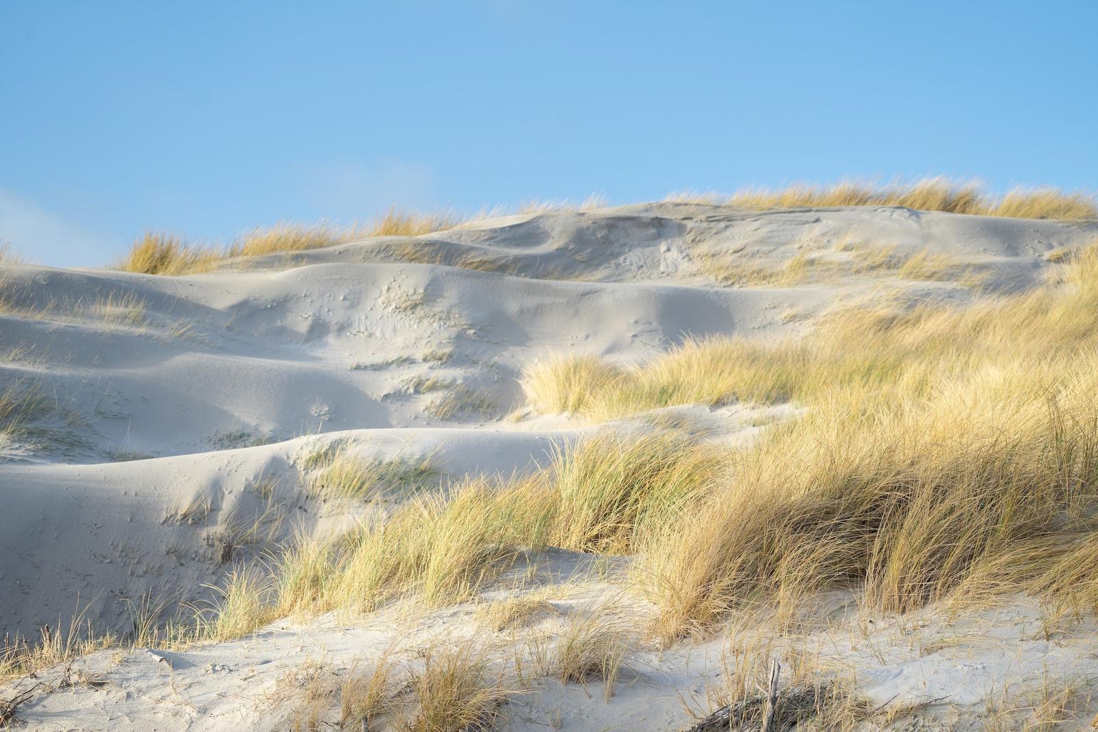 Sand dunes with grass under blue sky