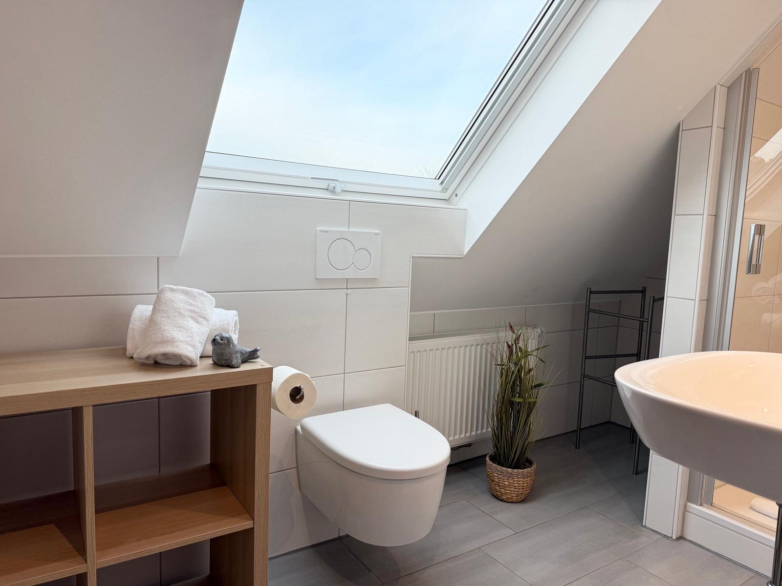 Bathroom with sloped ceiling, toilet, sink, and shower area. Wooden shelf, plant, and skylight.
