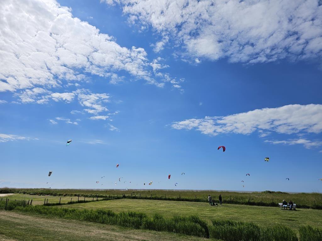 Grünes Feld unter blauem Himmel mit mehreren Parakites im Wind.