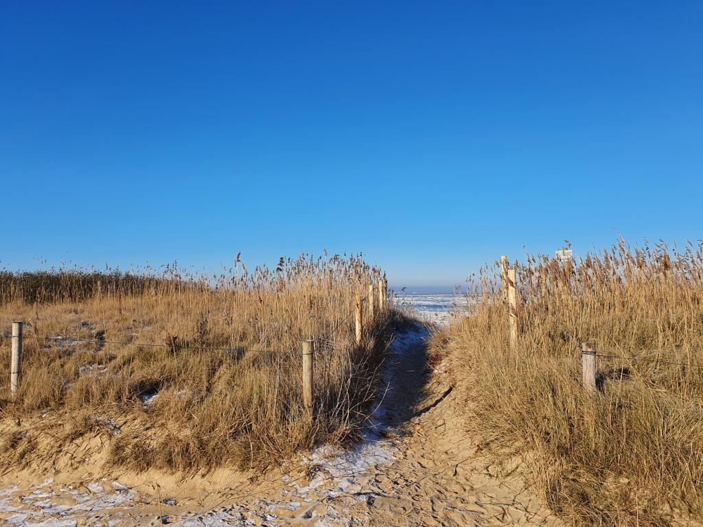 Weg durch hohes Gras zur Küste unter blauem Himmel