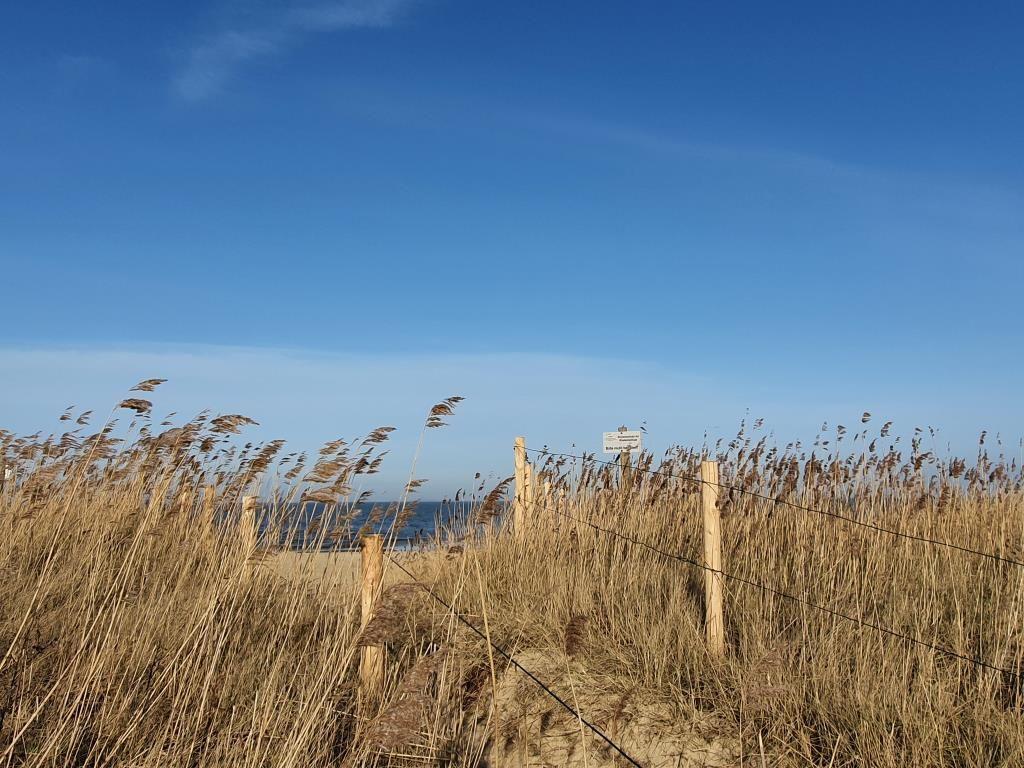 Hoch über Dünen mit Blick auf das Meer und einen Zaun im Vordergrund.