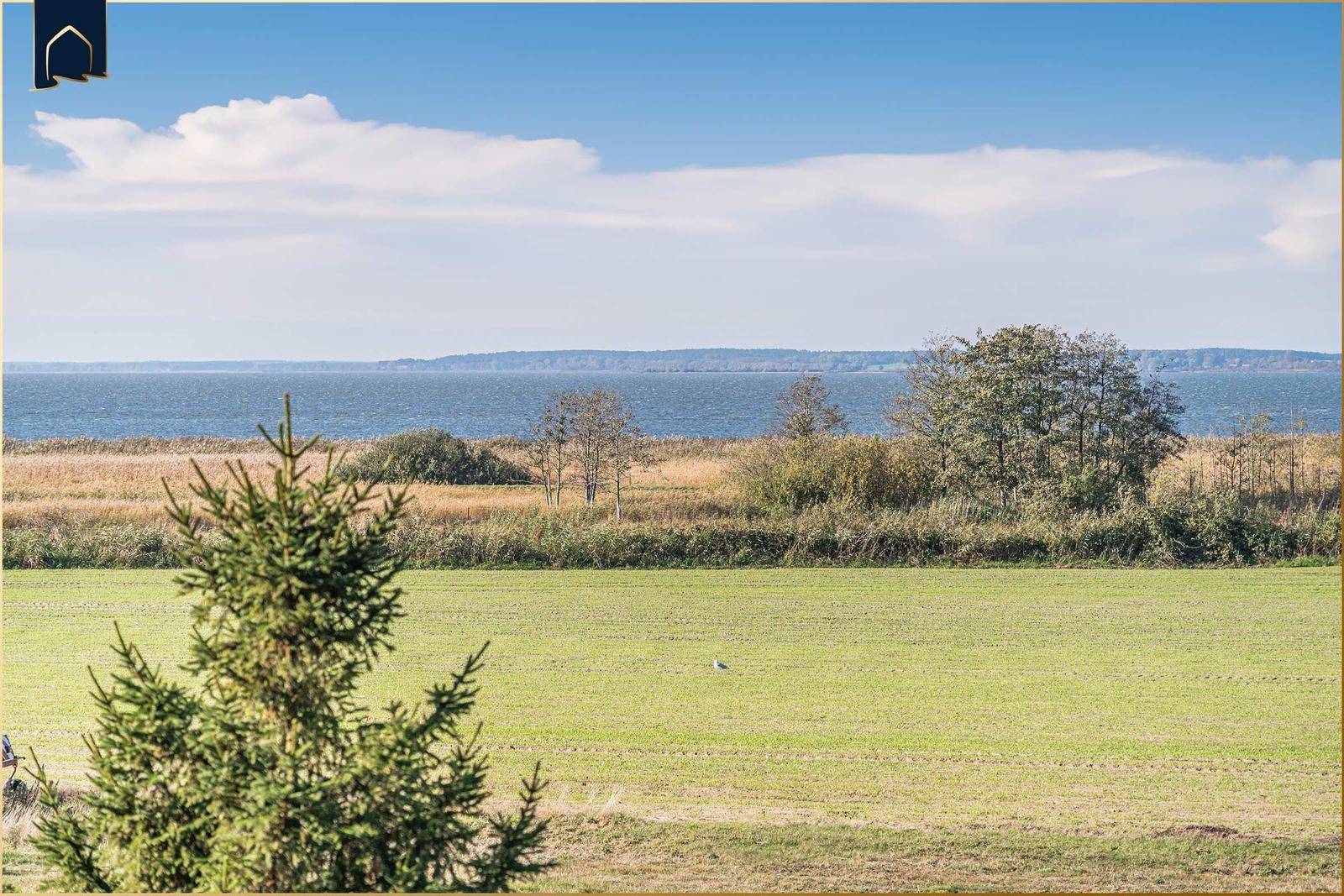 Grünes Feld mit Blick auf einen See und einen Wald im Hintergrund.