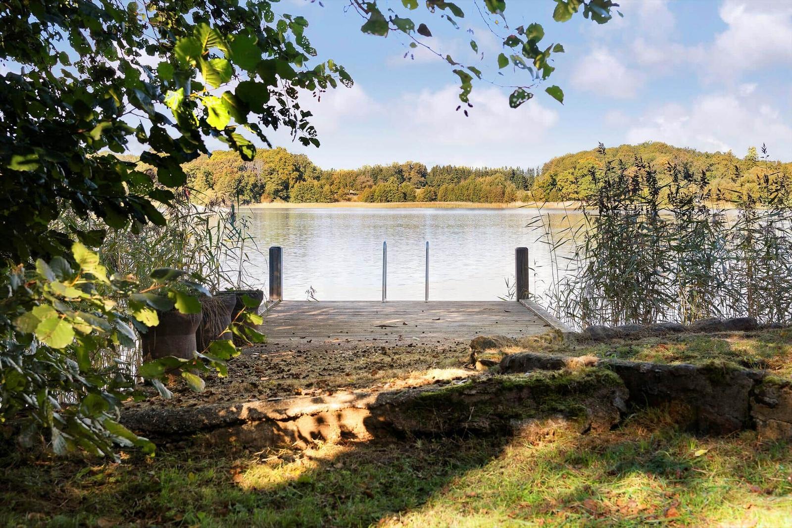 Holzsteg führt zum See. Umgeben von Bäumen und Schilf.