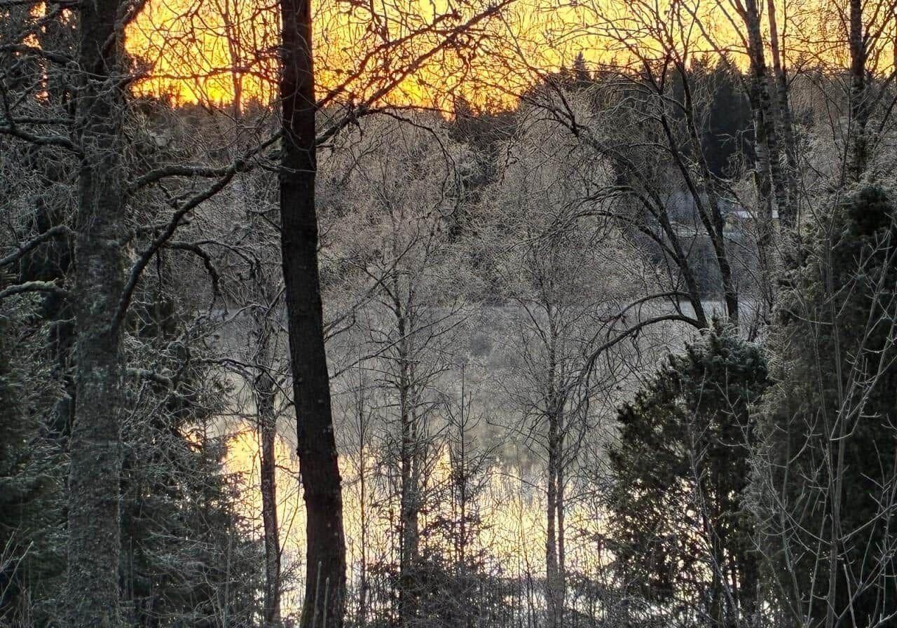 Schneebedeckte Bäume umgeben einen See bei Sonnenuntergang.