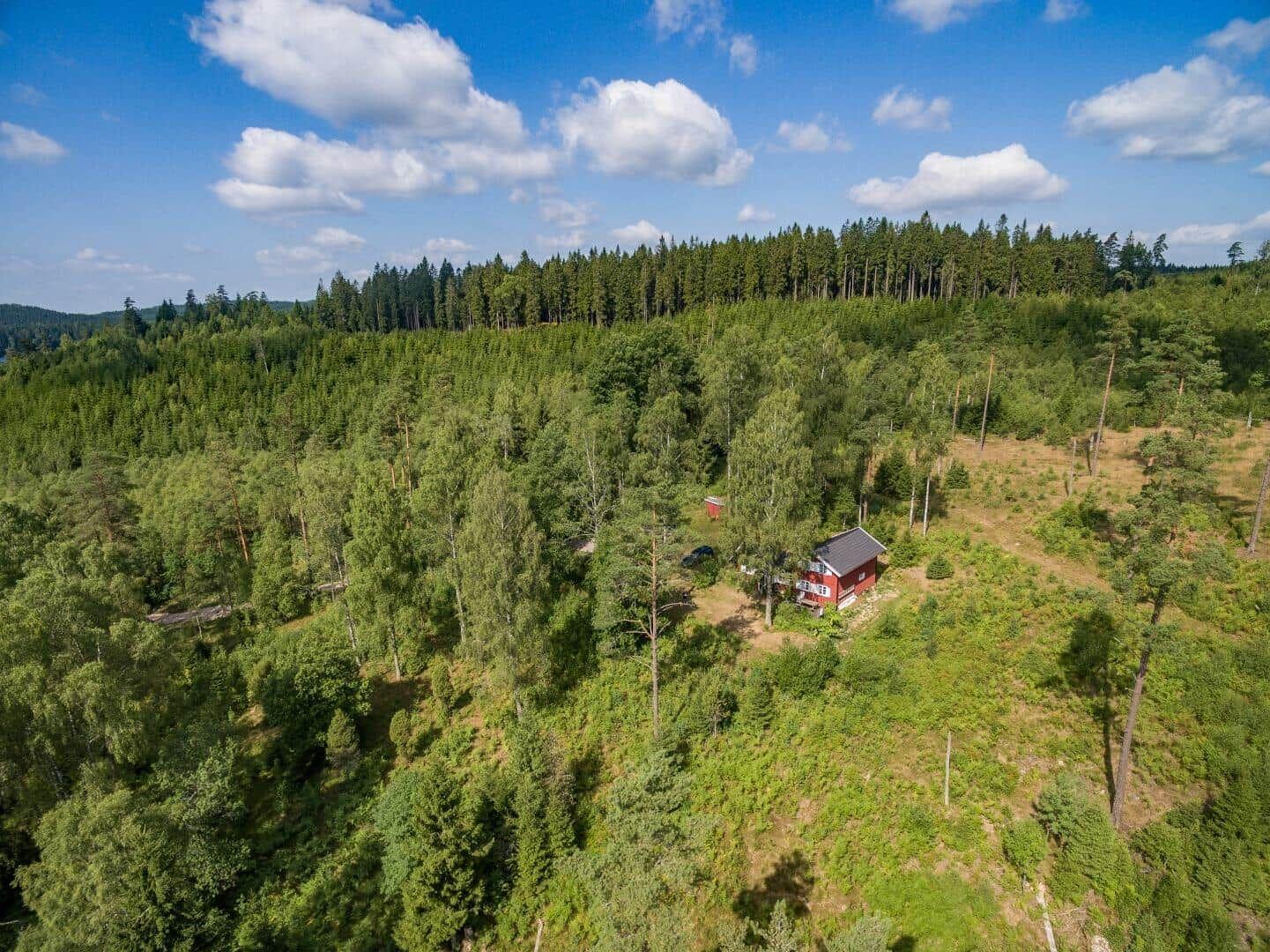 Rotes Haus in grüner Waldlandschaft unter blauem Himmel.