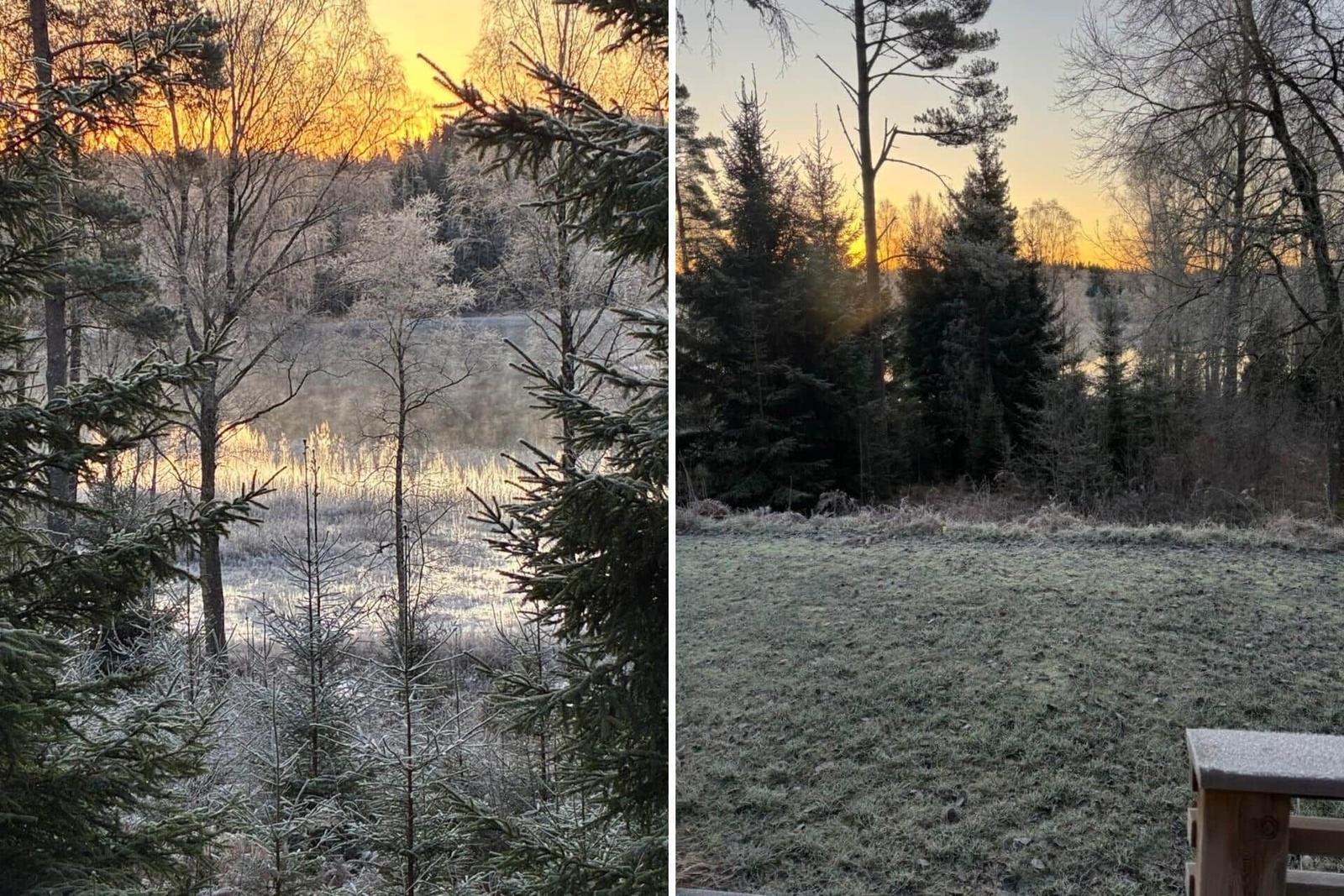 Schneebedeckte Bäume und ein See bei Sonnenuntergang. Frostiger Rasen und Wald im Hintergrund.