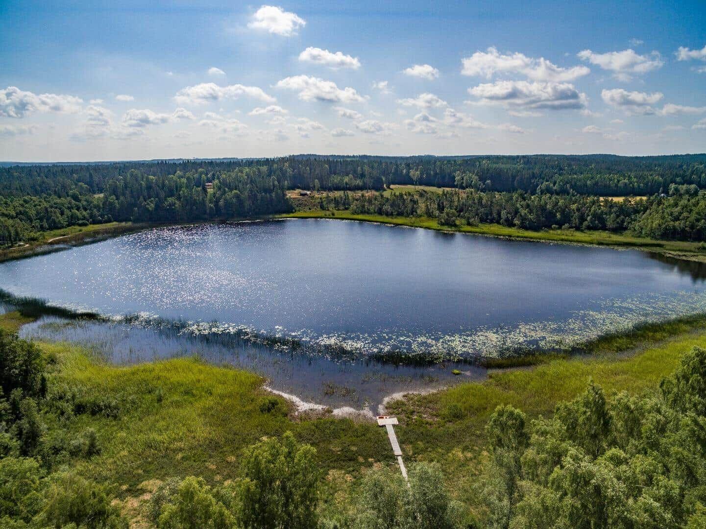 Ein See mit einer Holzbrücke, umgeben von Wald und Grasland unter blauem Himmel.