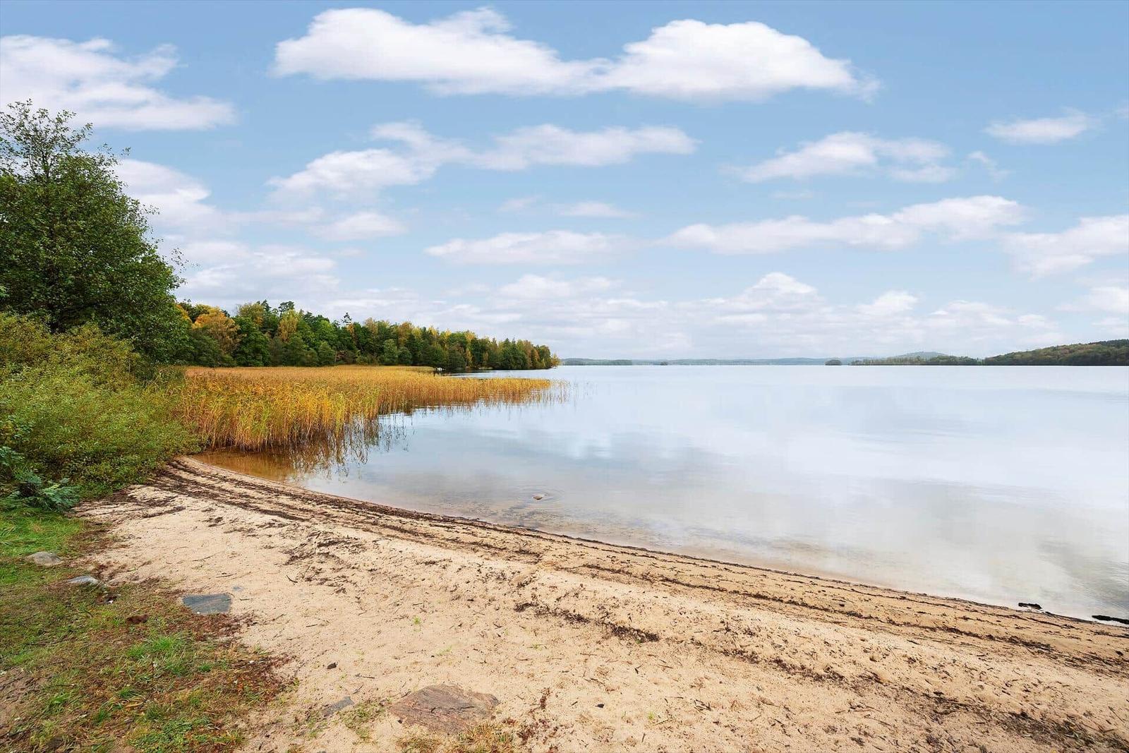 Strandufer mit See, Uferbereich und Wald im Hintergrund.