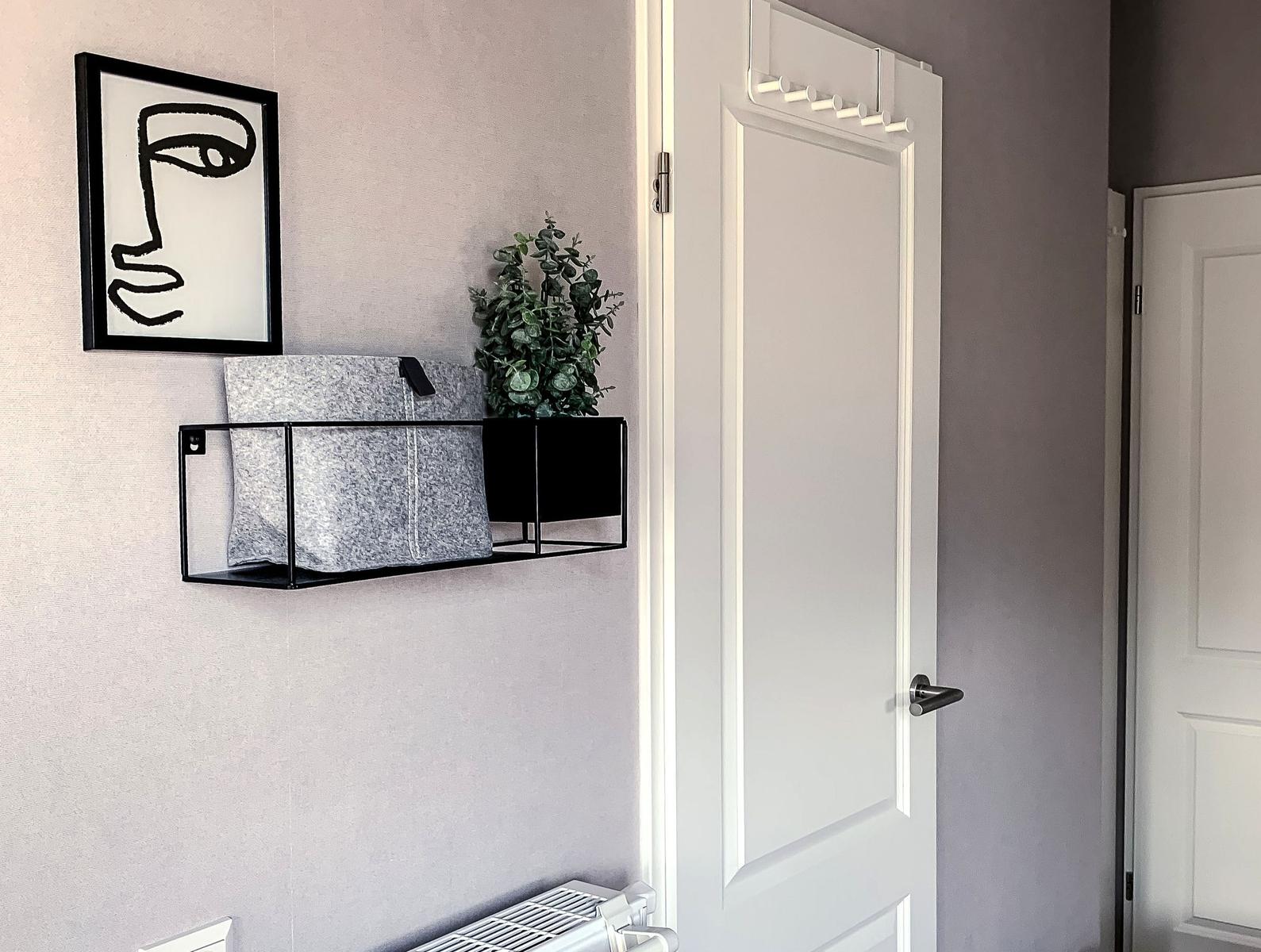 Wandregal mit Pflanze und Kissen neben Tür mit Haken.