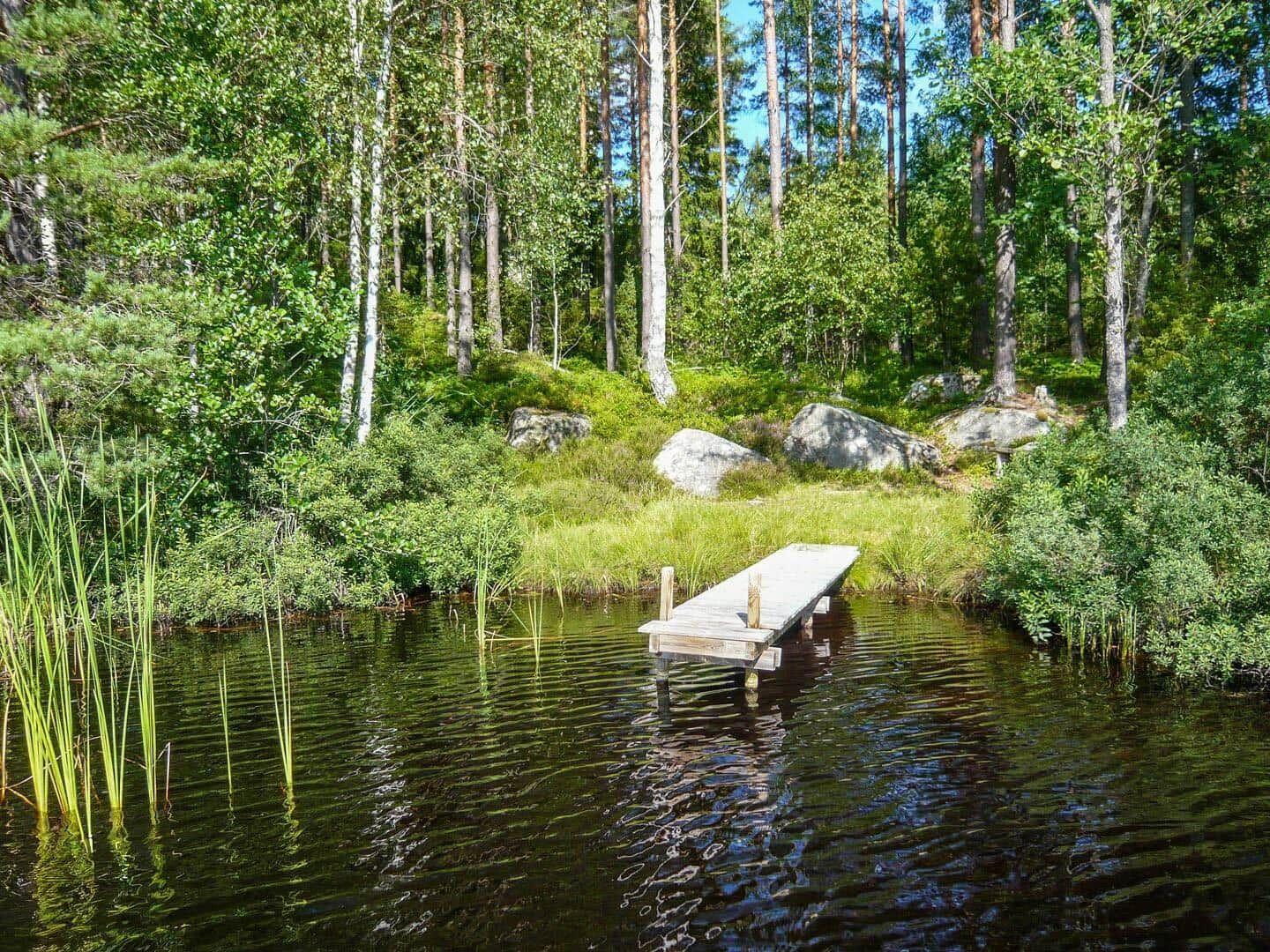 Holzsteg führt zu einem ruhigen See im Wald mit Bäumen und Felsen.