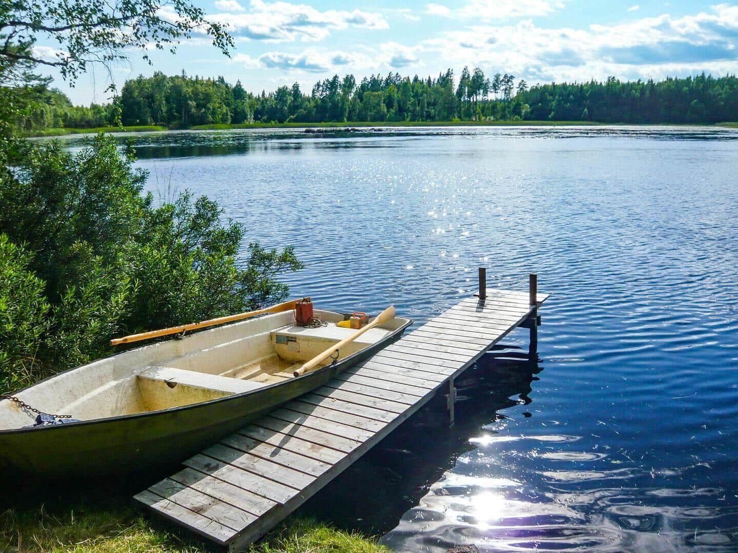 Ein Holzsteg führt zu einem Boot am Seeufer mit Wald im Hintergrund.