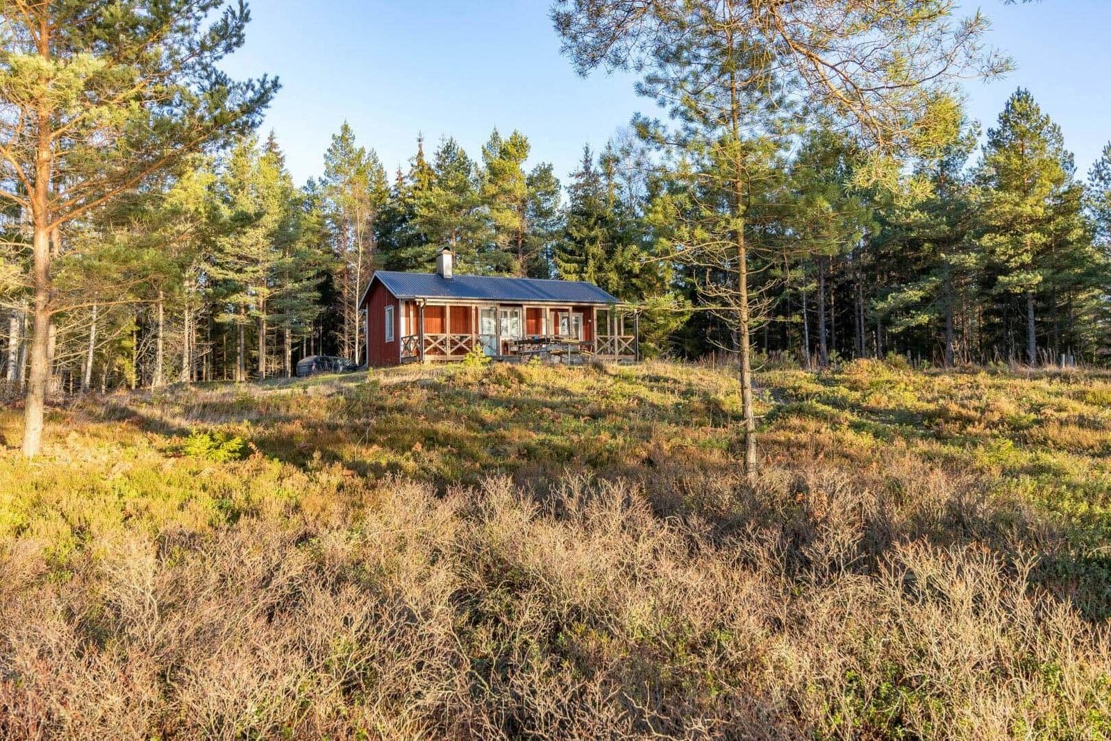 Rotes Haus mit Terrasse im Wald. Umgeben von Bäumen und Grasland.