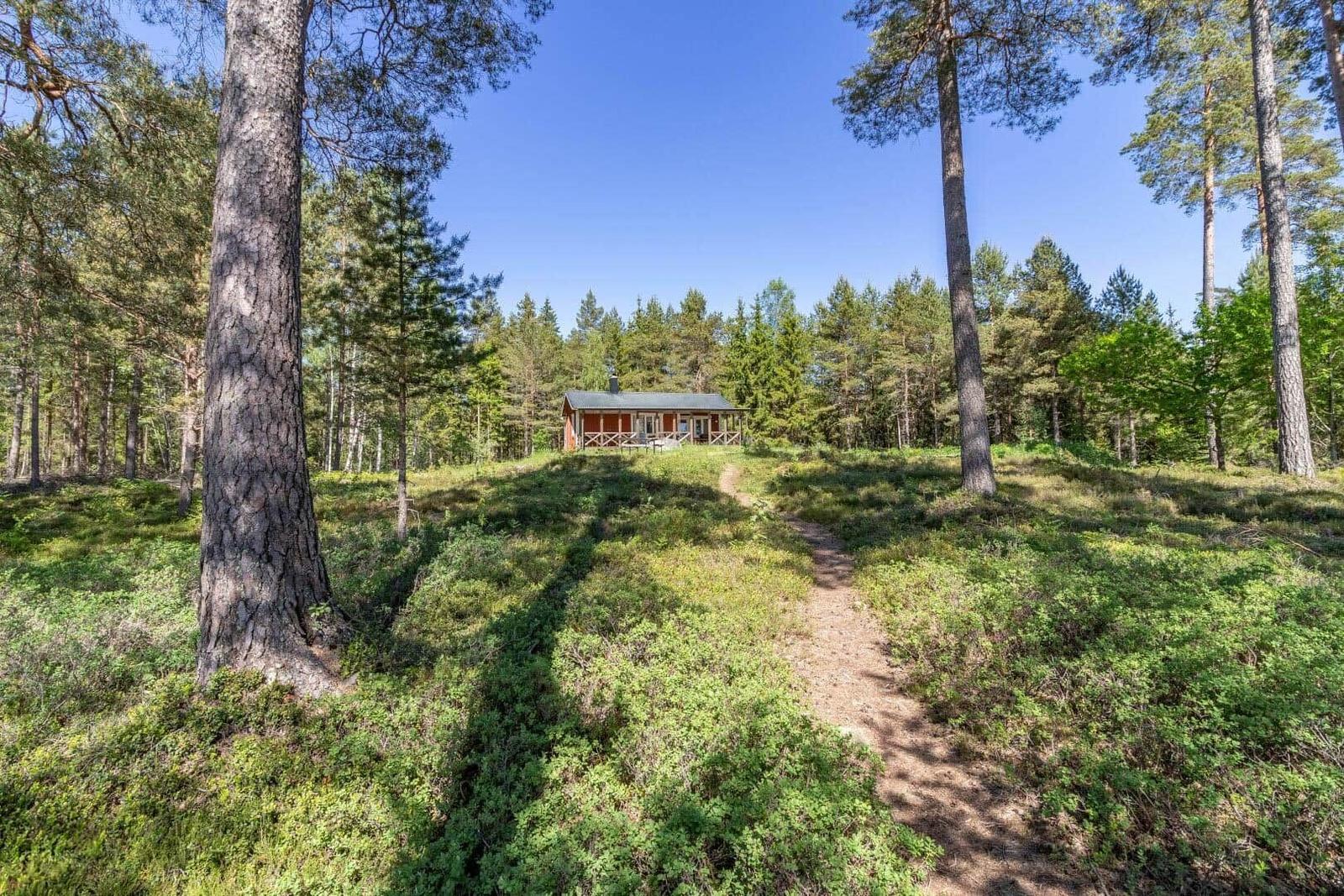 Hütte im Wald mit Pfad und umgebenden Bäumen.