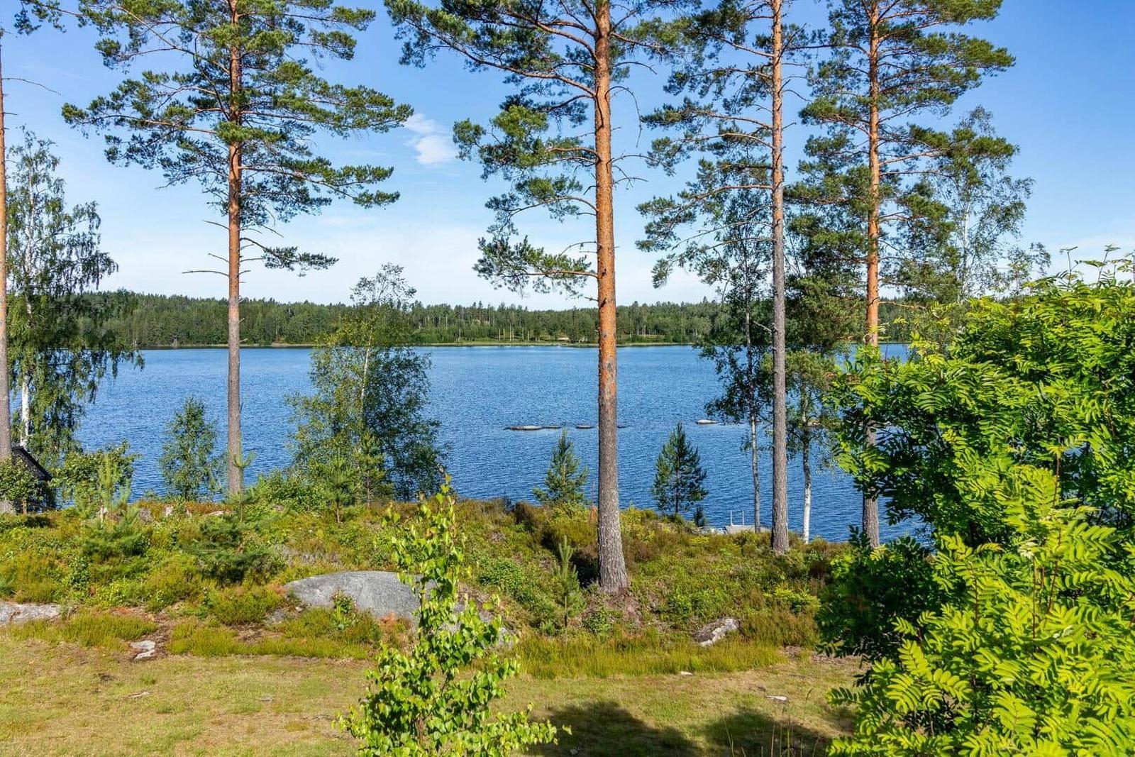 Lakeside view with tall pines and green vegetation in the foreground.