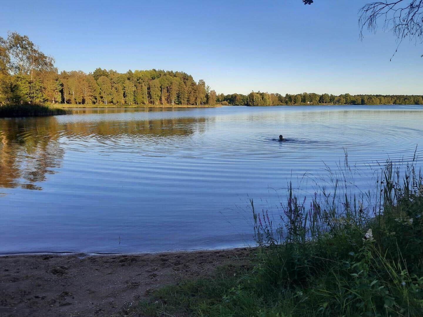 Ein Mensch schwimmt in einem ruhigen See mit Wald am Ufer.
