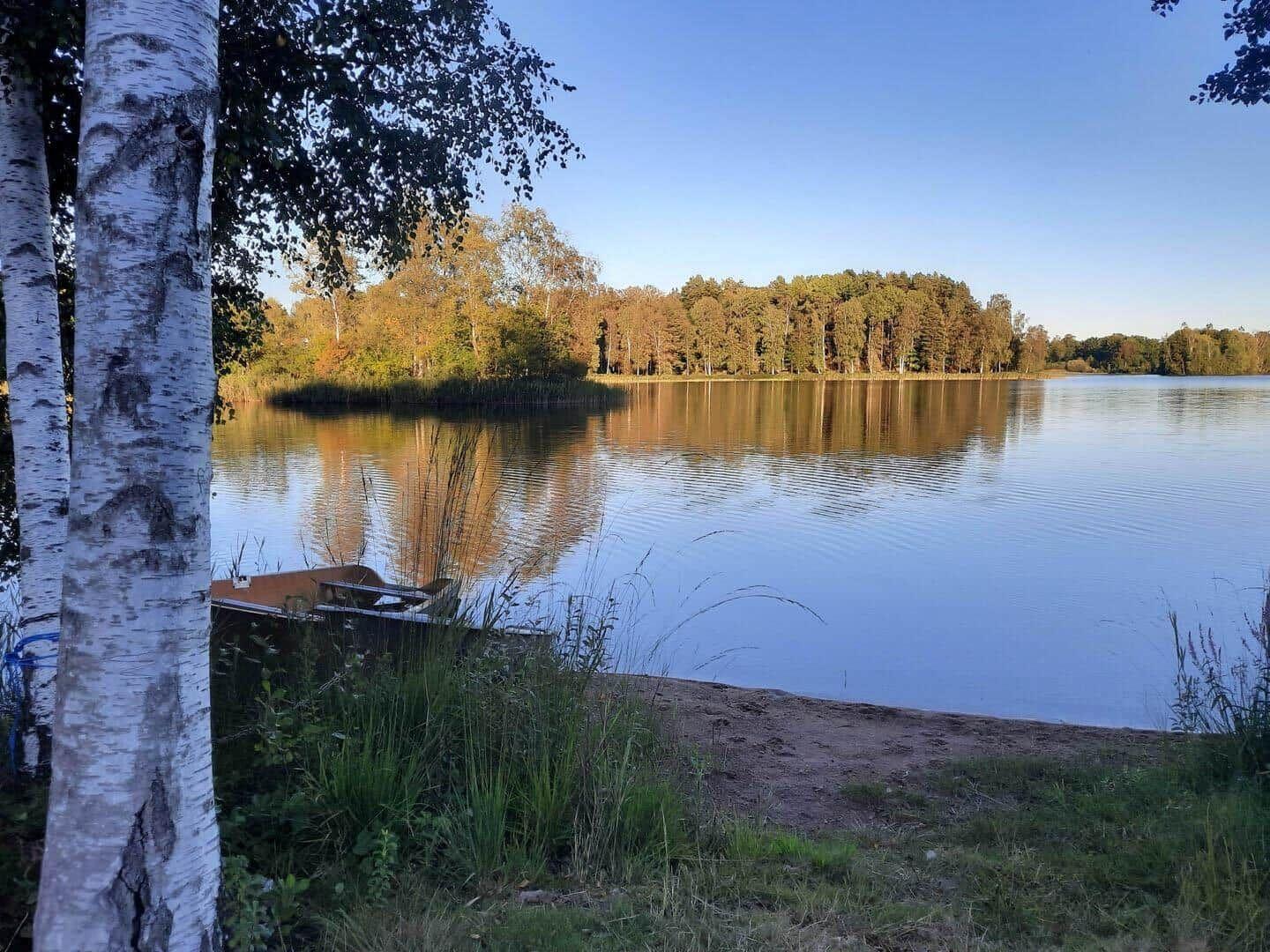 Seeufer mit Birken, Sandstrand und Boot. Wald im Hintergrund.