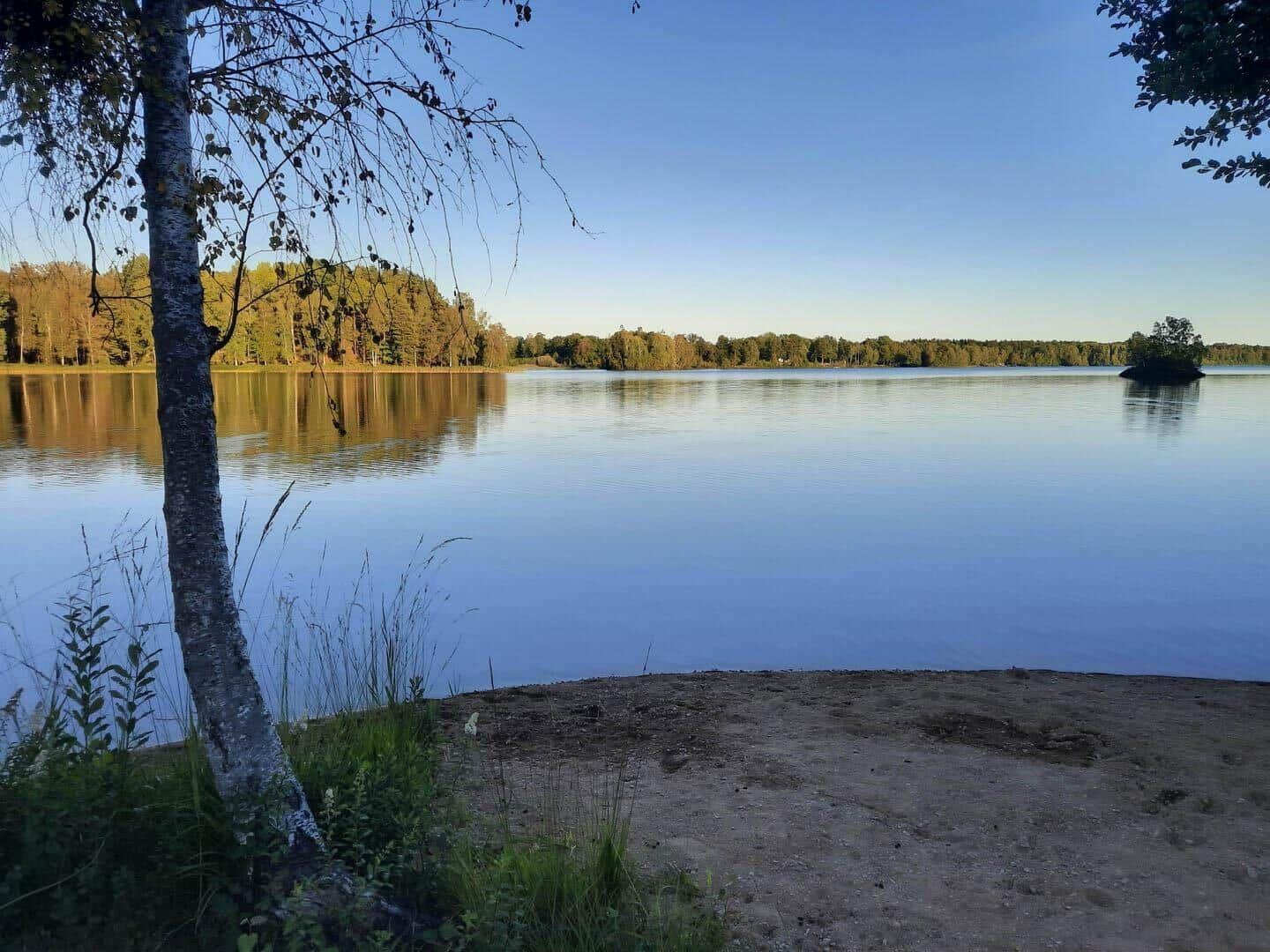 Ein ruhiger See mit Bäumen am Ufer und einem kleinen Inselchen im Wasser.