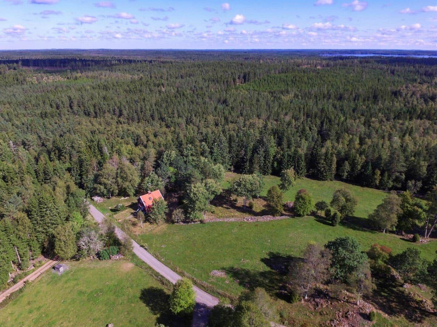 Haus mit rotem Dach in Wald und Grünflächen