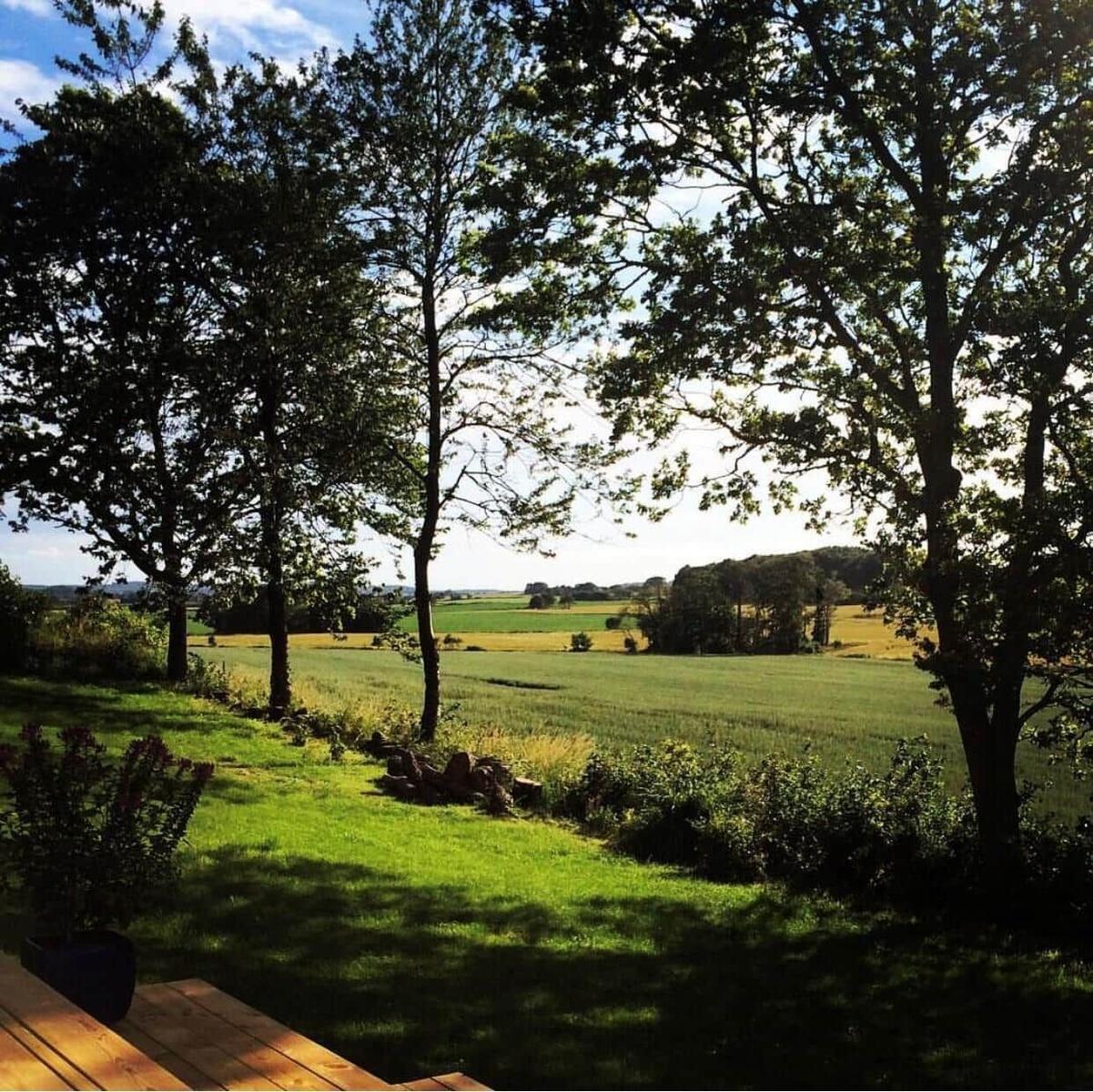 Vom Balkon aus Blick auf grüne Wiesen und Bäume unter blauem Himmel.