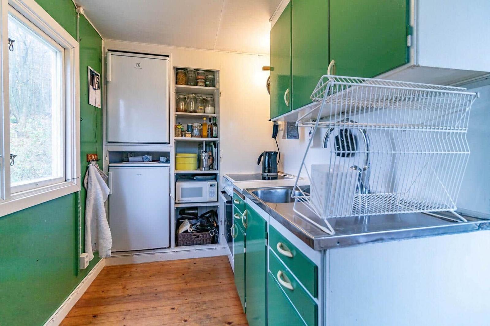 Küche mit grünen Schränken, Kühlschrank, Spüle und Geschirrtrockner.